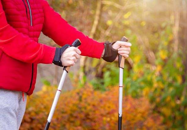 Tourist Rehabilitation Explanation